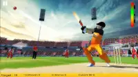 Cricket Championship League 3D - Dream Team Screen Shot 3