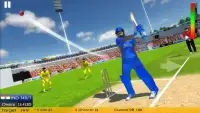 Cricket Championship League 3D - Dream Team Screen Shot 2