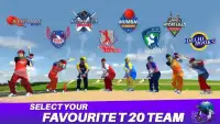 Cricket Championship League 3D - Dream Team Screen Shot 6