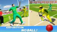 Cricket Championship League 3D - Dream Team Screen Shot 0