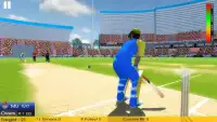 Cricket Championship League 3D - Dream Team Screen Shot 1