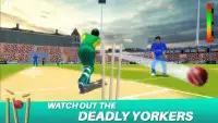 Cricket Championship League 3D - Dream Team Screen Shot 4