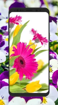 HD 3D Flower Wallpapers 4K background Screen Shot 6