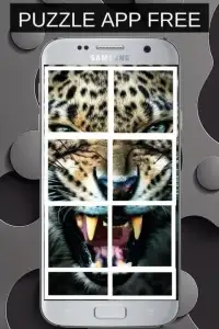 Puzzle Animal Jungle Screen Shot 1