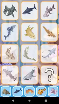 Sea Animals for toddler Babies cards Animal sounds Screen Shot 19