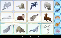 Sea Animals for toddler Babies cards Animal sounds Screen Shot 6