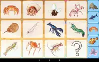 Sea Animals for toddler Babies cards Animal sounds Screen Shot 10