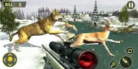 Howling Wolf:Wild animal hunter sniper 3D Screen Shot 11