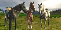 Horse racing game Screen Shot 6