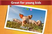 Animal Fun 3-in-1 - Educational Kids Games Screen Shot 0