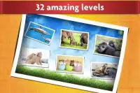 Animal Fun 3-in-1 - Educational Kids Games Screen Shot 3