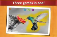 Animal Fun 3-in-1 - Educational Kids Games Screen Shot 1