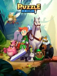 Puzzle & Knight Screen Shot 4