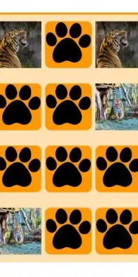 Tiger Memory Game Screen Shot 0