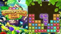Block Puzzle Jewels Mania: Magic Runes Jewels Game Screen Shot 7