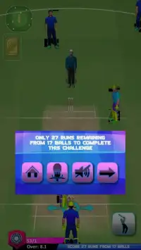 Fun Cricket 2019 Screen Shot 5