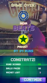 Fun Cricket 2019 Screen Shot 0