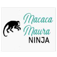 Macaca Maura Ninja