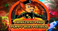 Amazing Paw Pupy Run Screen Shot 7