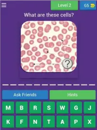 Hematology Quiz Screen Shot 5