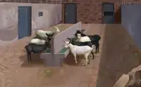 Animals Farm Escape - Screen Shot 0