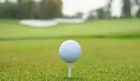 mini golf yang mini Screen Shot 1