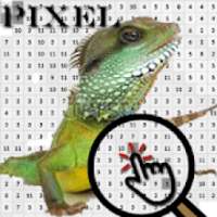 Reptile Animal Color By Number-Pixel Art