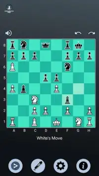 Chess Master Pro Screen Shot 2