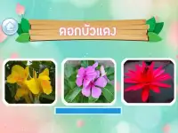 เกมส์ทายชื่อดอกไม้ไทย 2563 Screen Shot 3