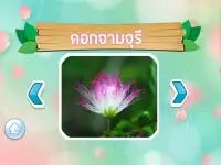 เกมส์ทายชื่อดอกไม้ไทย 2563 Screen Shot 4