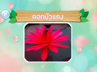 เกมส์ทายชื่อดอกไม้ไทย 2563 Screen Shot 2