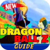 Guide For DB:Z