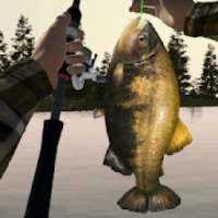 Ultimate Fishing Sim 3D - hook and catch