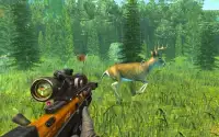 Wild Animal Sniper Deer Hunter 2020 Screen Shot 2
