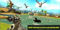 Jungle Birds Hunting 3D- Mighty Hunter 2019 Screen Shot 9