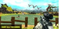Jungle Birds Hunting 3D- Mighty Hunter 2019 Screen Shot 11
