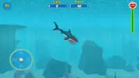Shark Attack Wild Simulator Screen Shot 5