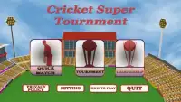 cricket super tournament Screen Shot 4