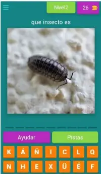 identificar insectos por fotos quiz Screen Shot 7