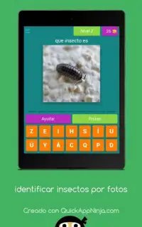 identificar insectos por fotos quiz Screen Shot 4