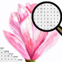 Magnolia Flowers Color By Number-Pixel Art