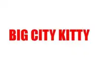 Big City Kitty Screen Shot 2