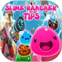 Guide For Slime Rancher 2K20