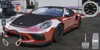 911 GT3 Driving Simulator Screen Shot 1