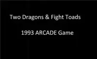 Two Dragons & Fight Toads 1993 Game Screen Shot 0