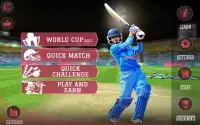 Women's Cricket World Cup 2017 Screen Shot 15
