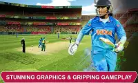 Women's Cricket World Cup 2017 Screen Shot 29