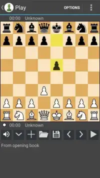 Chess 05 Screen Shot 7