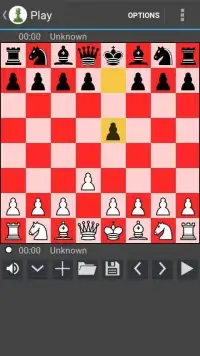 Chess 05 Screen Shot 3