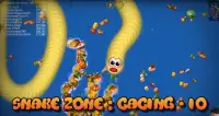 Snake Zone : Cacing Worm-io Screen Shot 2